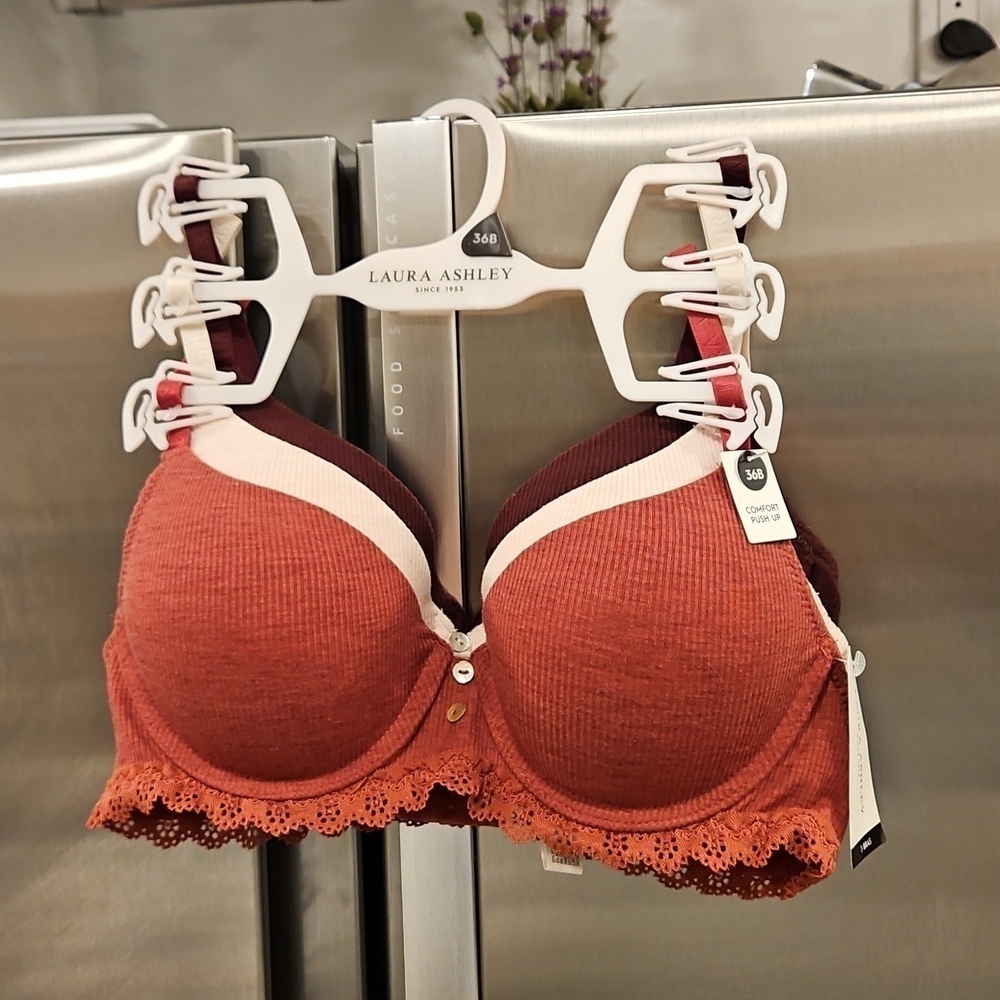 💕LAURA ASHLEY💕 Comfort Push Up Bras 3 Pack ~ Multi-Solid Colors 36B NWT